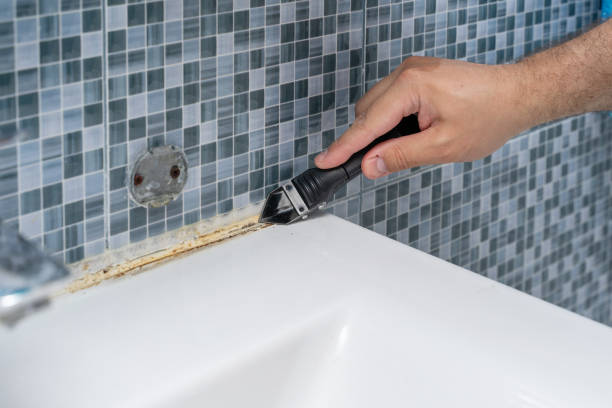 Best Mold Cleaning Services  in Palm Bay, FL